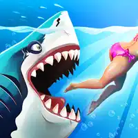 Jeux de requins